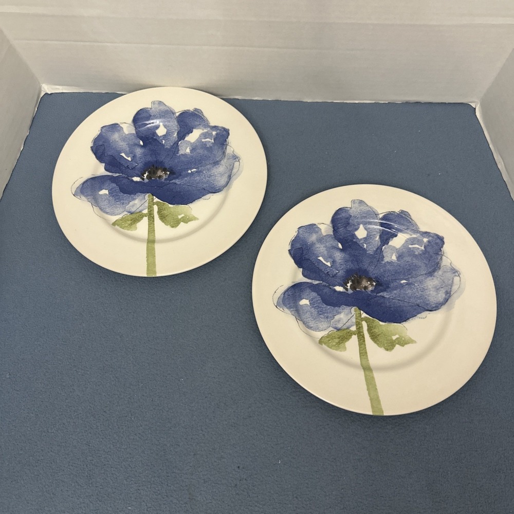 Royal Stafford Blue Poppy 11" Dinner Plate - Set of 2